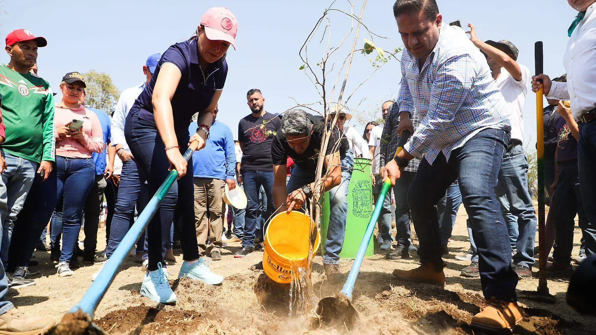 GOB REFORESTACION